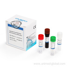 RT-PCR nucleic acid detection reagent kit